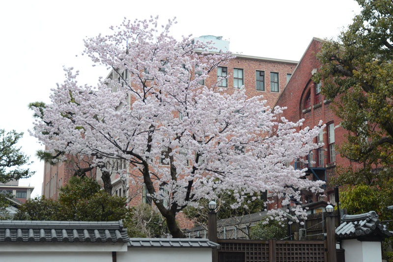 b0042837_4404295.jpg