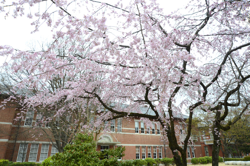 b0042837_4421652.jpg