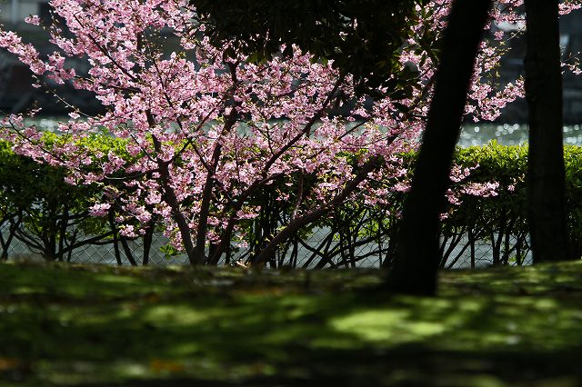 a0242438_2234435.jpg