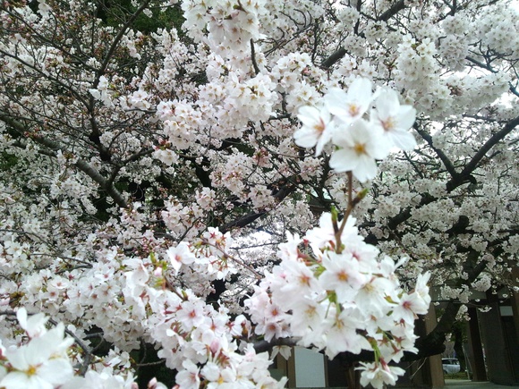 f0247039_16442246.jpg