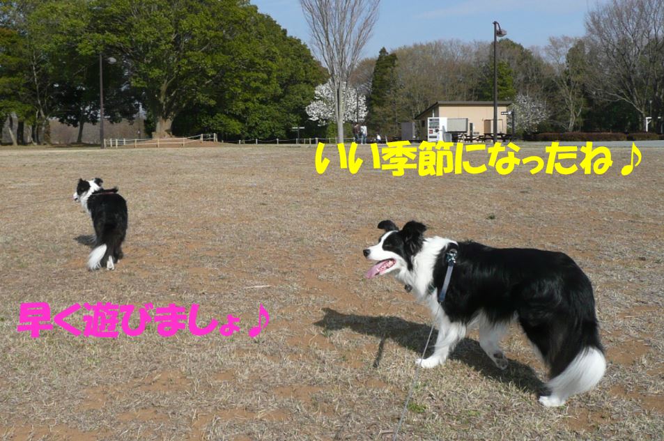 c0147241_20545064.jpg