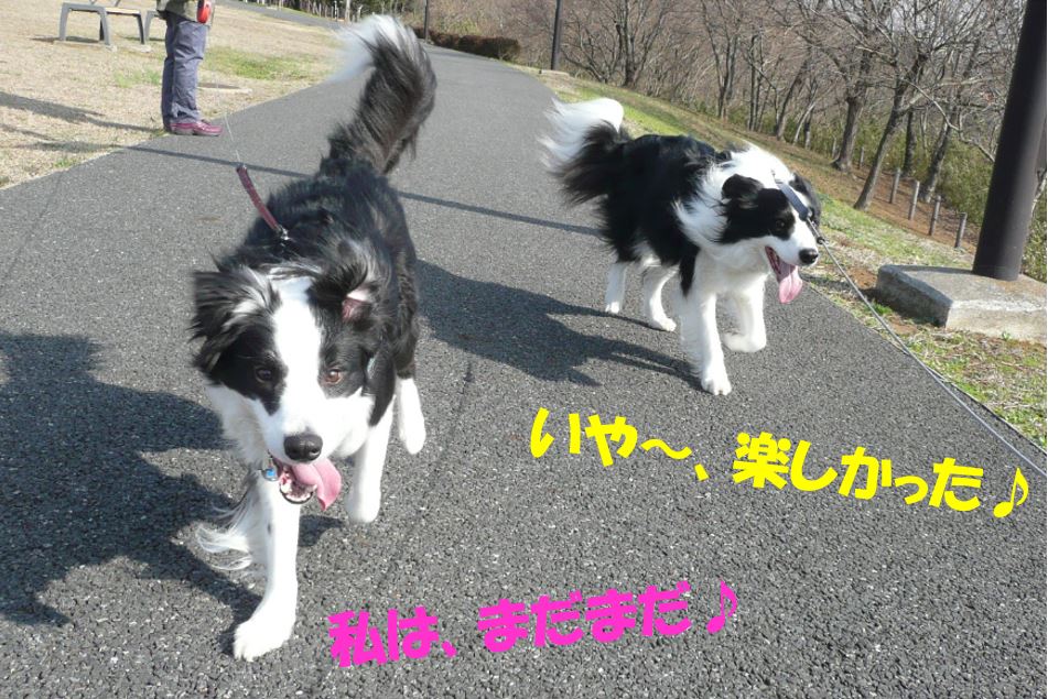 c0147241_20552950.jpg