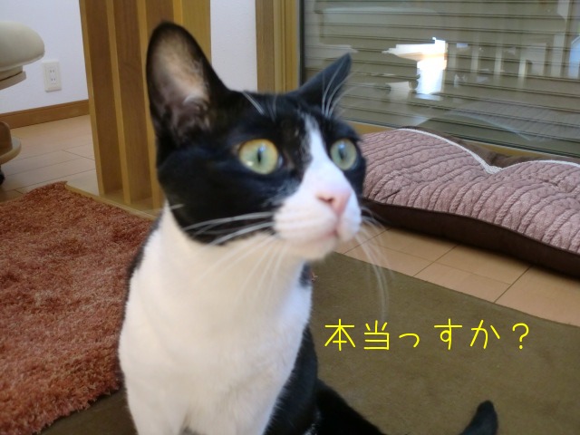 c0259945_1445384.jpg