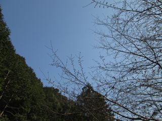 a0054948_22234073.jpg