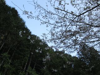 a0054948_22341456.jpg