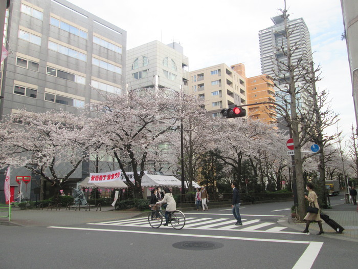 a0041150_23563150.jpg