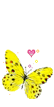 b0133752_18133586.gif
