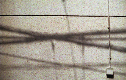 b0157961_111036.jpg