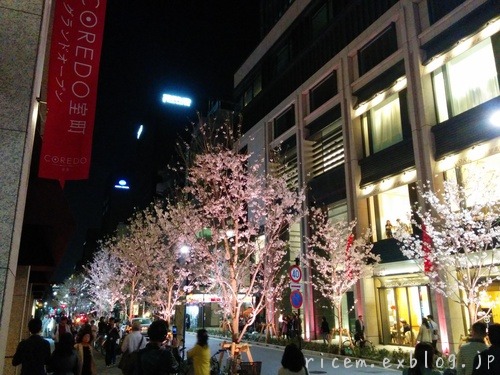c0127366_8343978.jpg