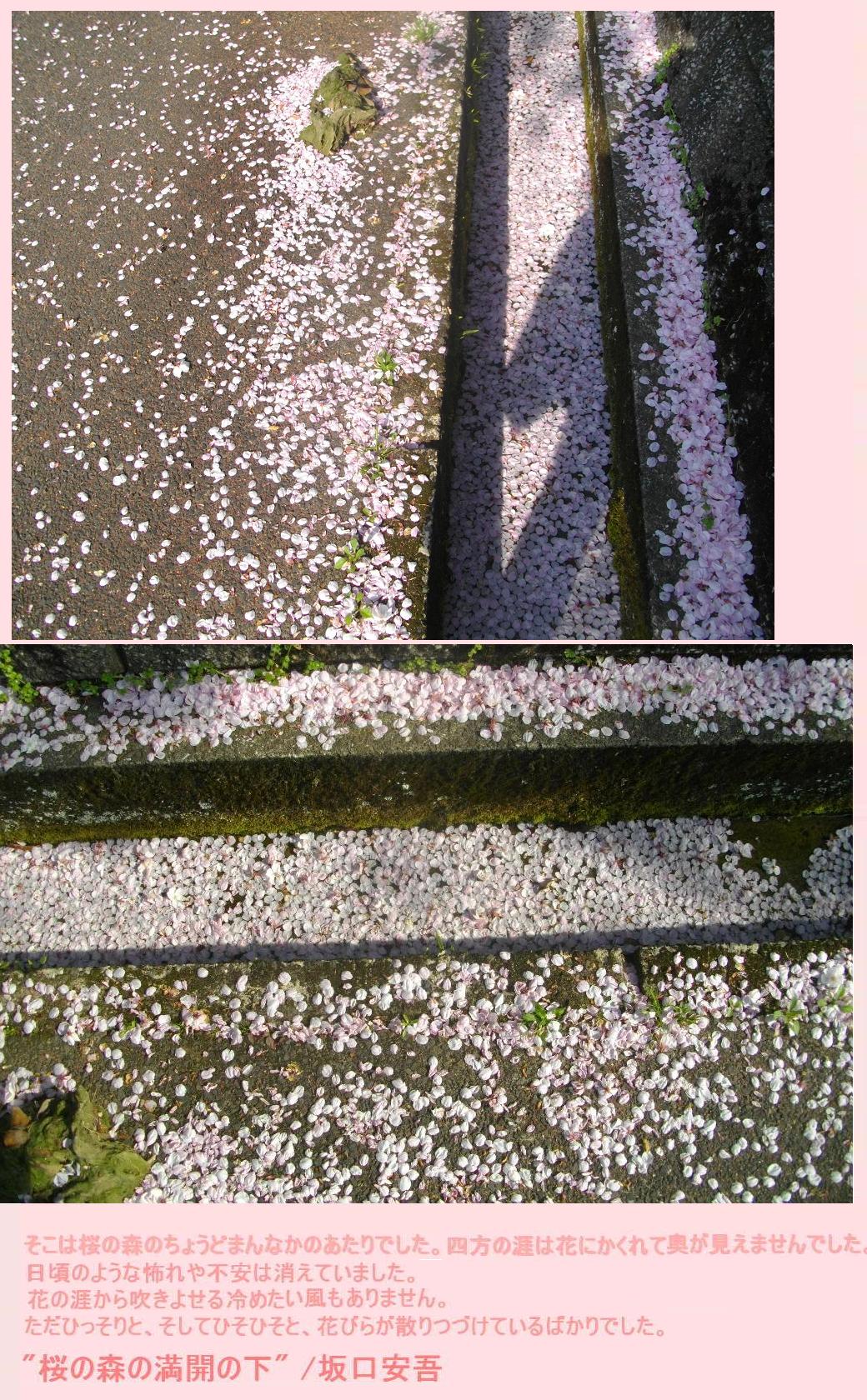 e0265768_1763862.jpg