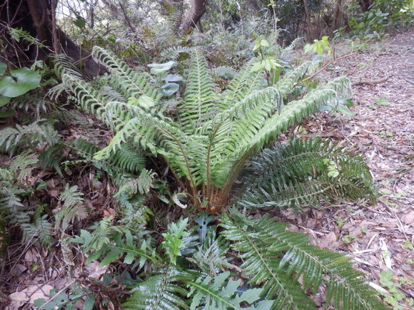 e0292172_21135235.jpg