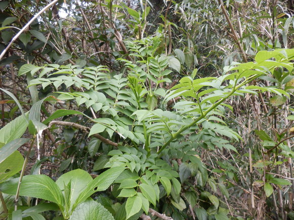 e0292172_2171248.jpg