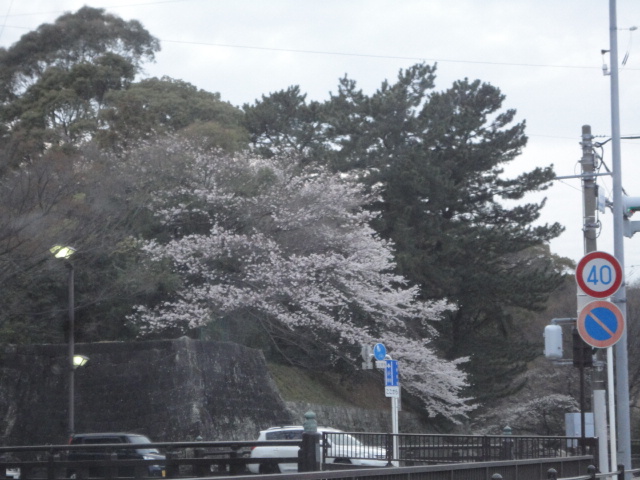 d0109373_36169.jpg