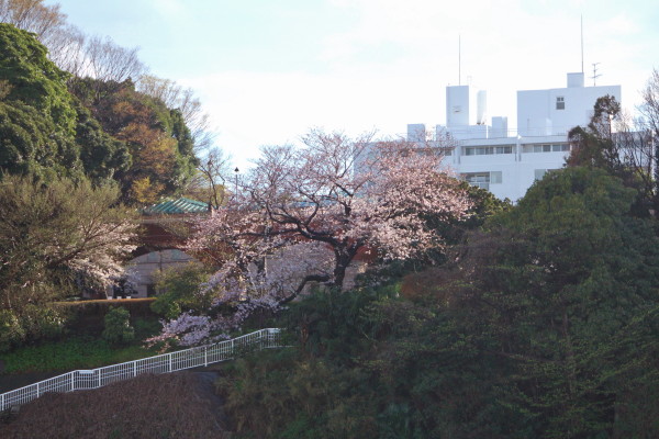 f0183274_23543012.jpg