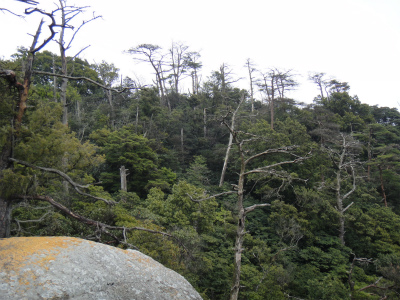 d0182075_13302753.jpg