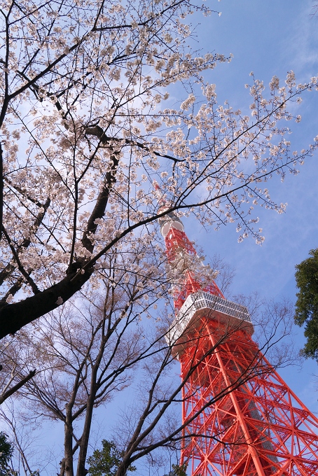 f0115475_12233181.jpg