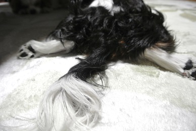 e0121583_2012194.jpg