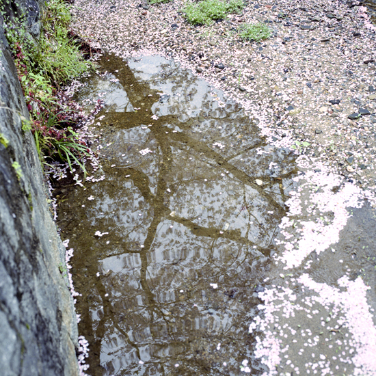 c0160185_19535367.jpg