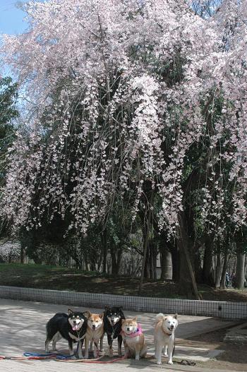 c0123890_2115551.jpg