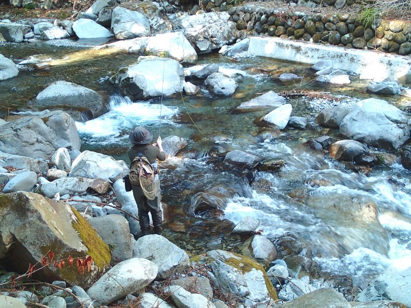 f0129994_17145778.jpg