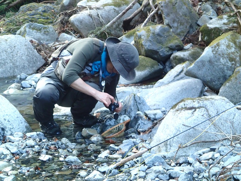 f0129994_17285184.jpg