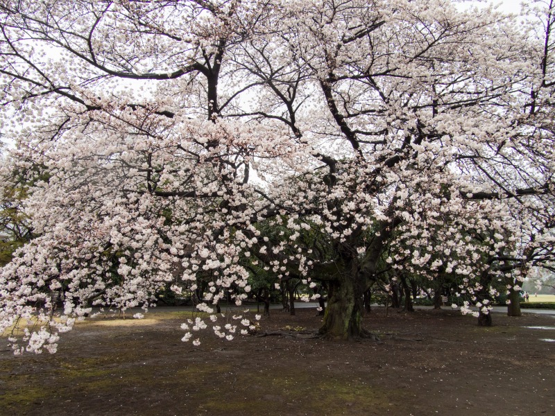 f0224100_0265020.jpg