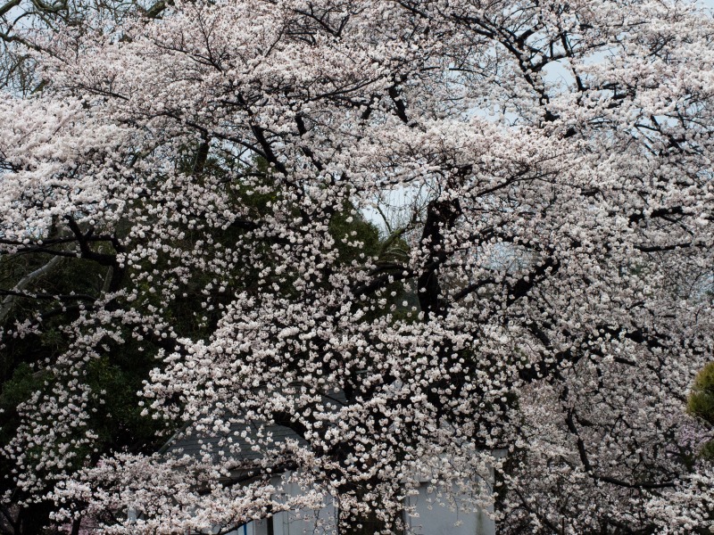 f0224100_0352185.jpg