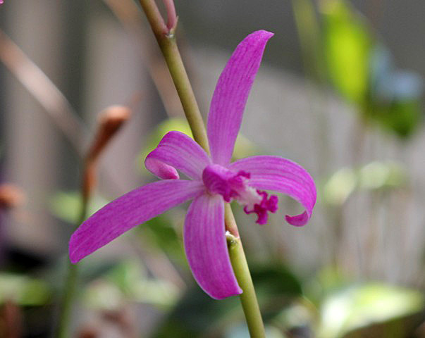 d0007501_13175162.jpg