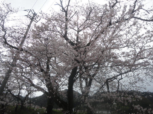 f0231709_16545284.jpg