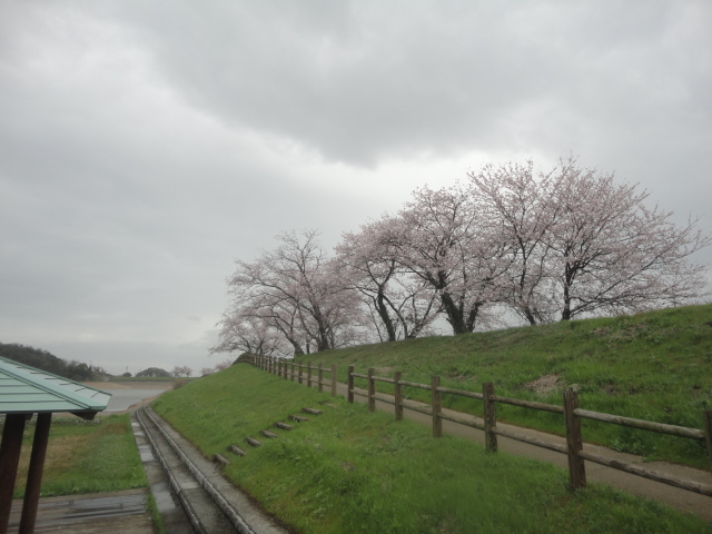 f0231709_16554022.jpg