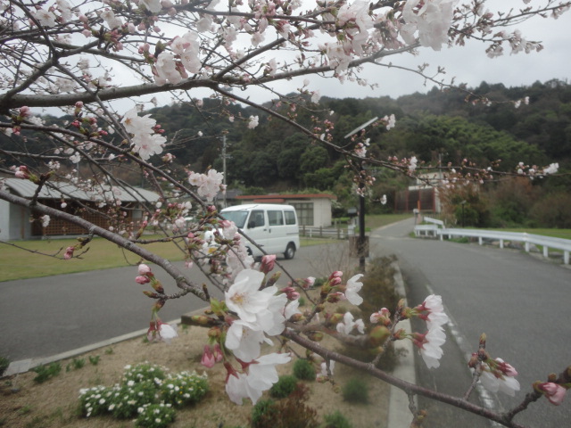 f0231709_1656135.jpg