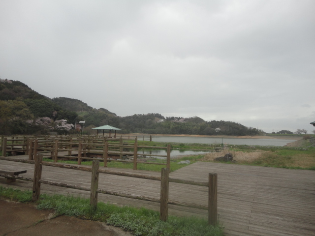 f0231709_16562974.jpg