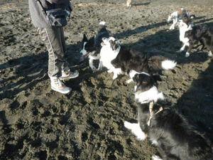 a0232619_1639020.gif