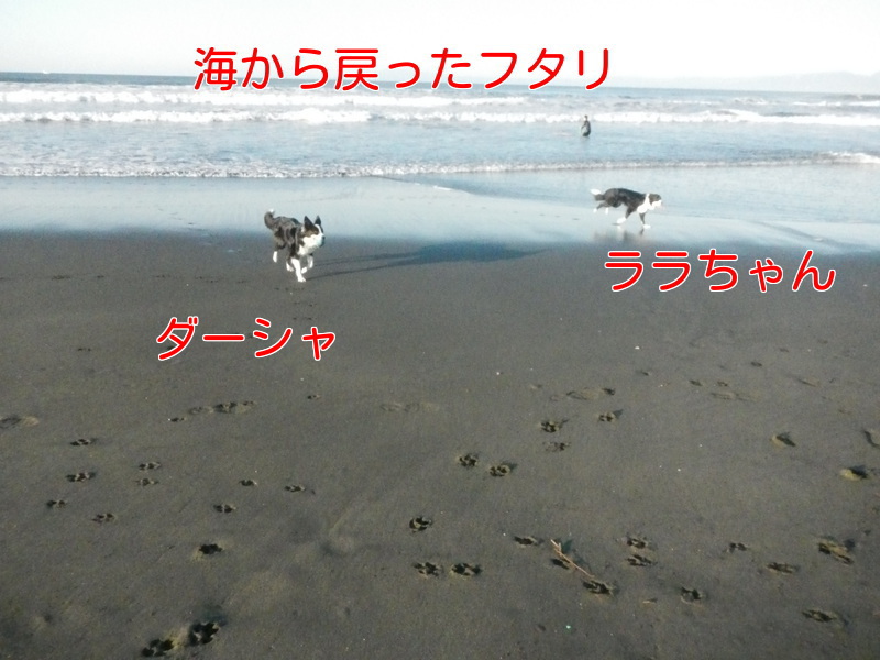 a0232619_16402446.jpg
