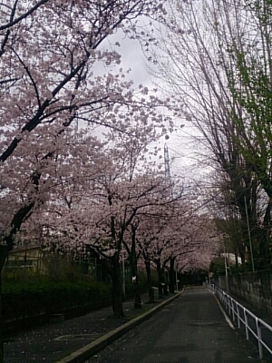 b0204719_13144863.jpg