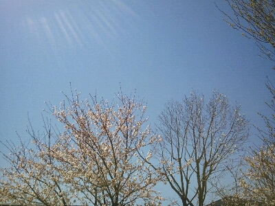 f0304219_21531670.jpg