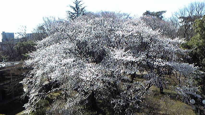 c0038722_10461422.jpg