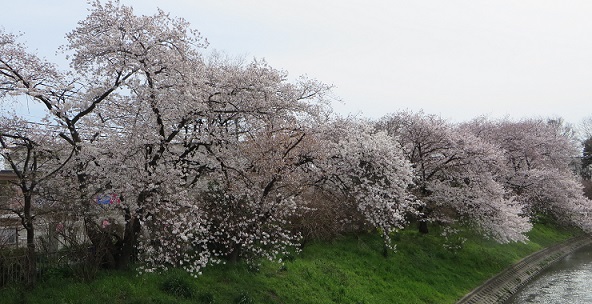 c0280322_23170225.jpg