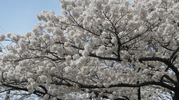 c0280322_23180321.jpg