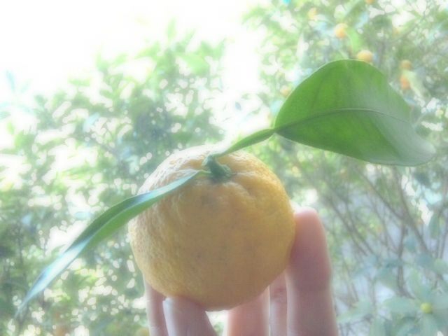 f0031722_12123486.jpg