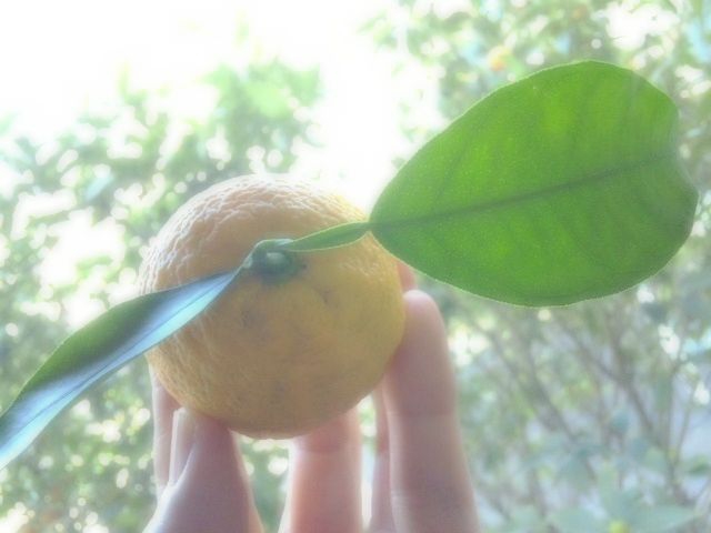 f0031722_12131242.jpg
