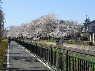 f0037623_2257038.jpg