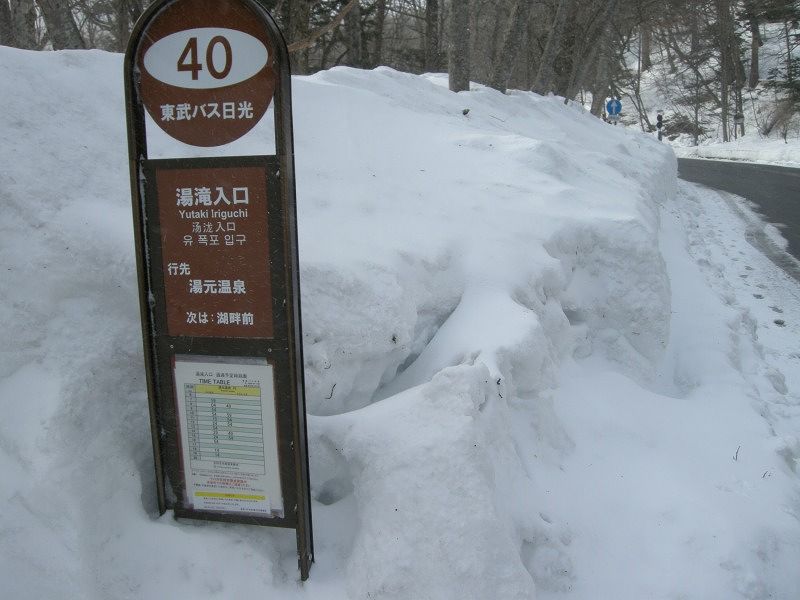 f0100825_22181572.jpg