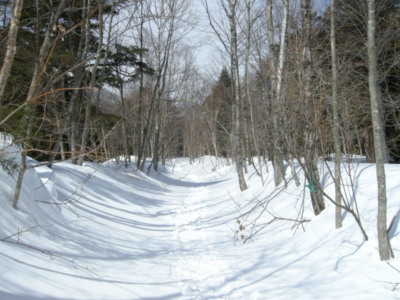 f0100825_22184420.jpg