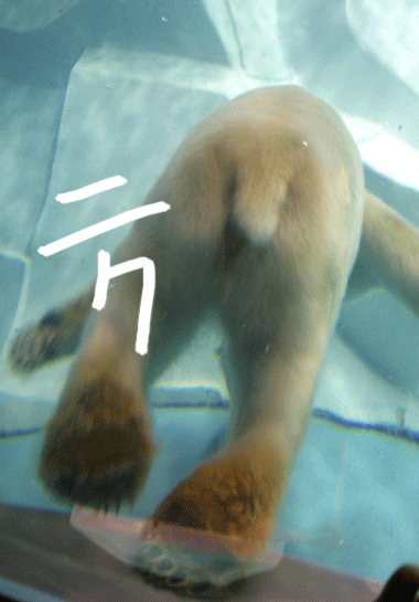 e0112226_18405657.gif
