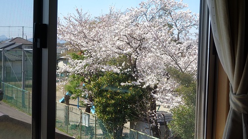a0024829_1495367.jpg