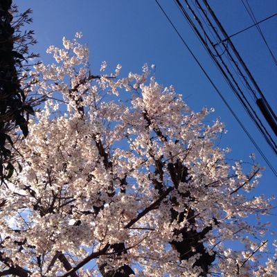 b0206831_22493132.jpg
