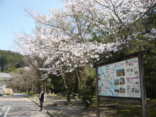 a0206332_10315787.jpg