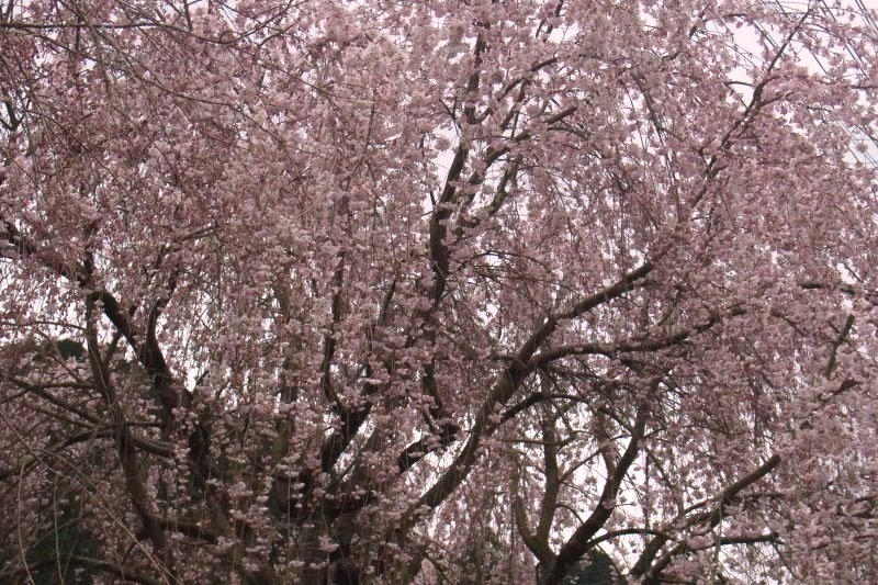 a0017634_21155172.jpg