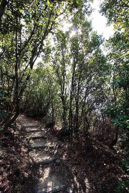 a0242438_19401550.jpg